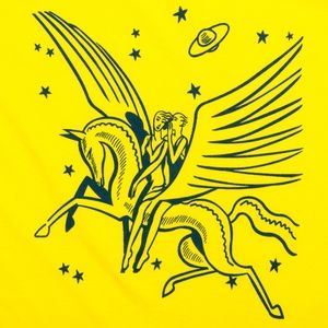 PEGASUS T-Shirt Winged Horse Myth Fitted Soft Sz S